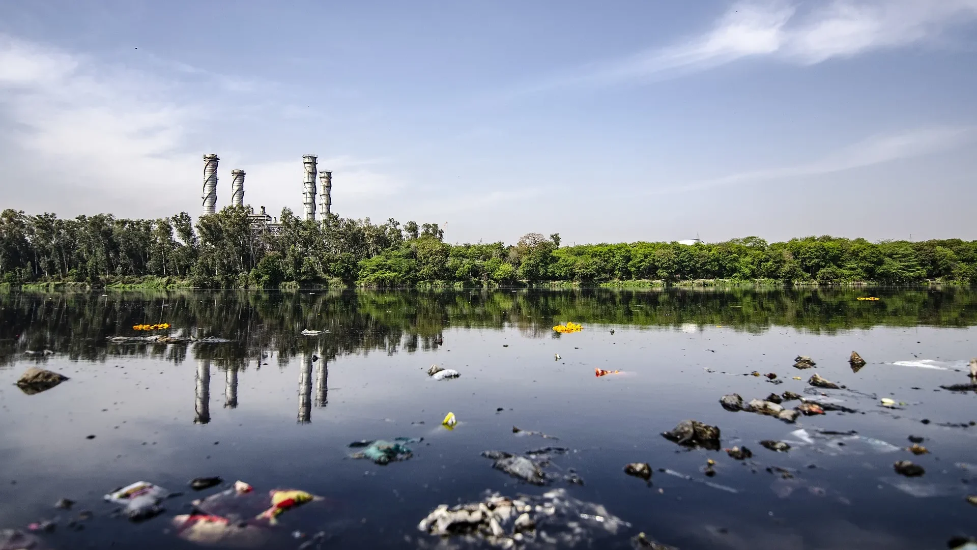 ¿Cómo afecta la huella hídrica al medio ambiente